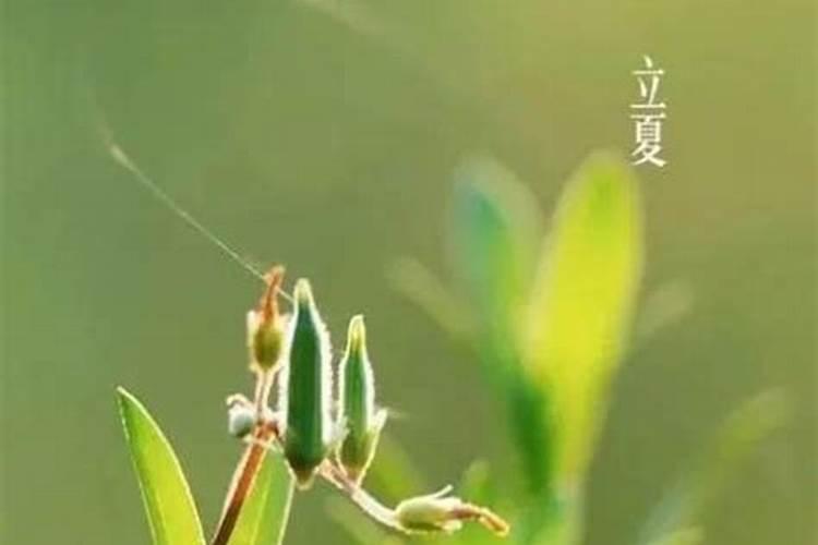 怎样知道自己是不是童子命