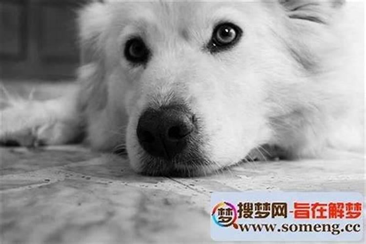 1960年出生的男的能不能活到2025年？