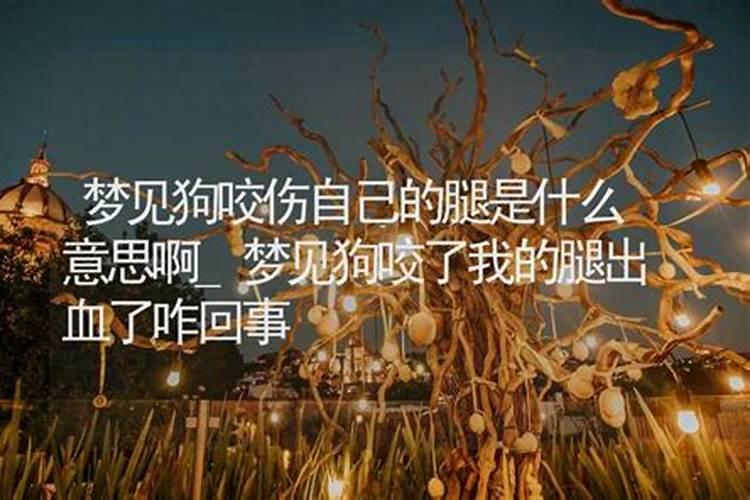女人梦见狗咬是吉兆
