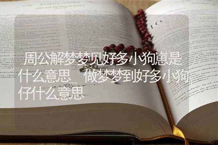 梦见小狗崽是什么兆头周公解梦