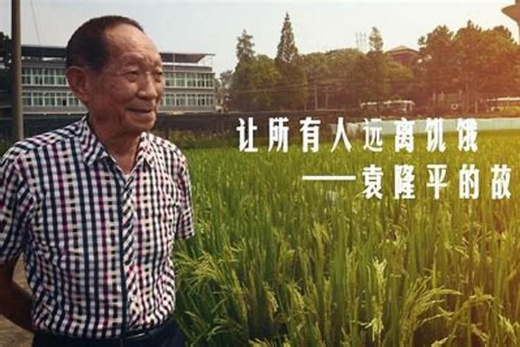 袁隆平的出生地？