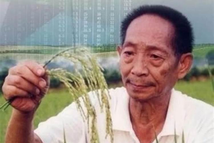 袁隆平是什么时候出生的