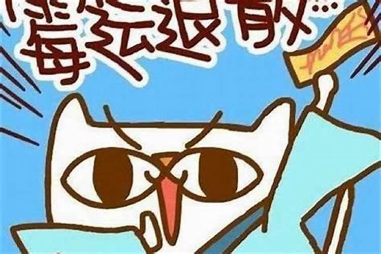 属猪适合佩戴金猪吗