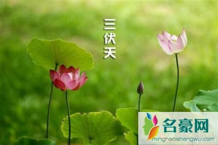 中国钟南山院士为疫情做出的贡献作文