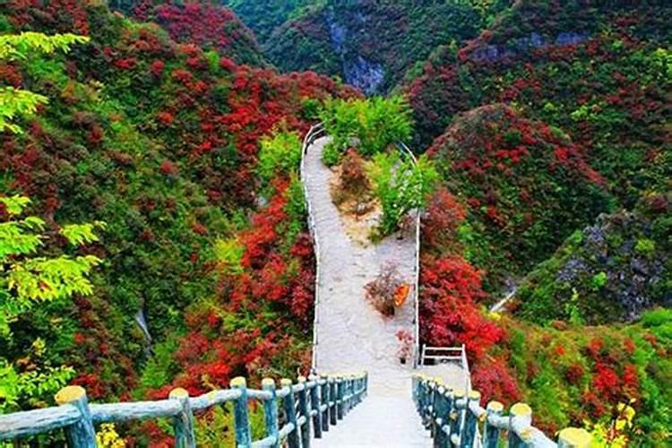 清明山清明山社火