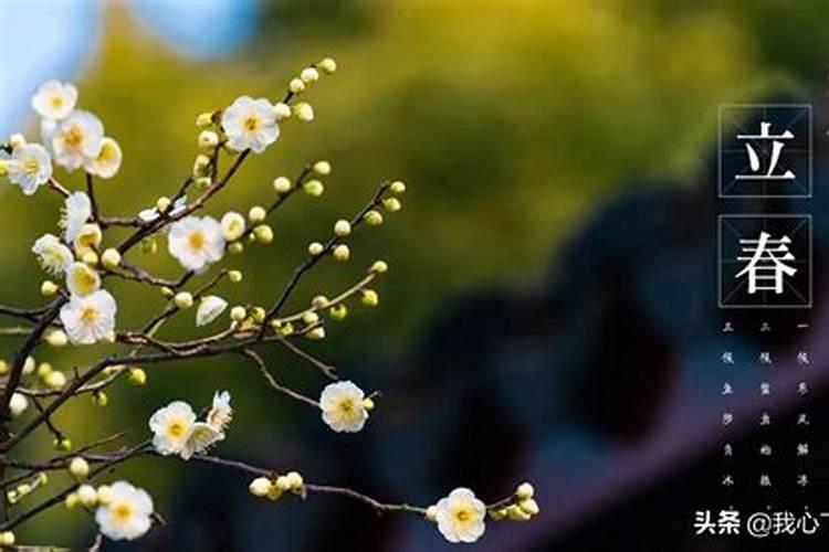 古代民间都是在立春这一天过节