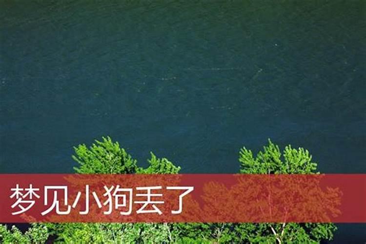 梦见自己的小狗丢了的预兆