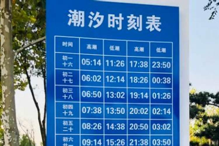 青岛城阳正月十五哪里有灯会