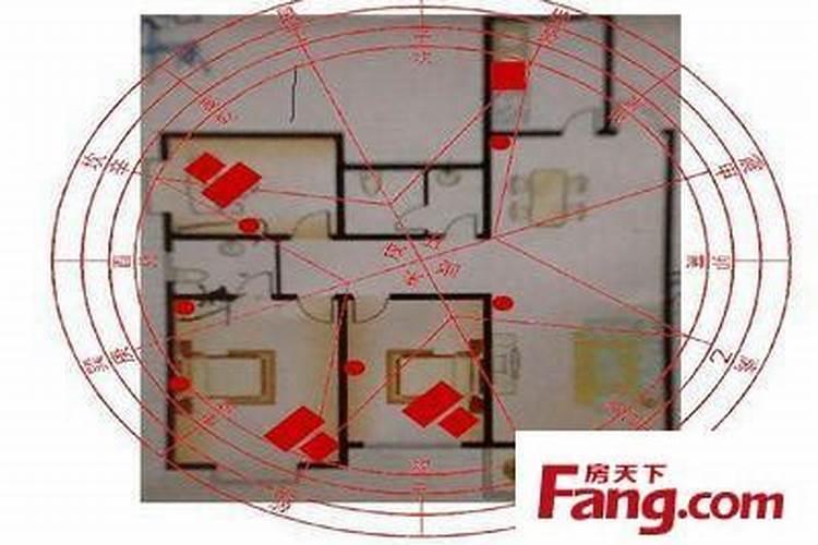 太岁能治病么
