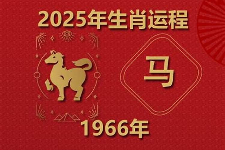 66年属马人2024年运势运程