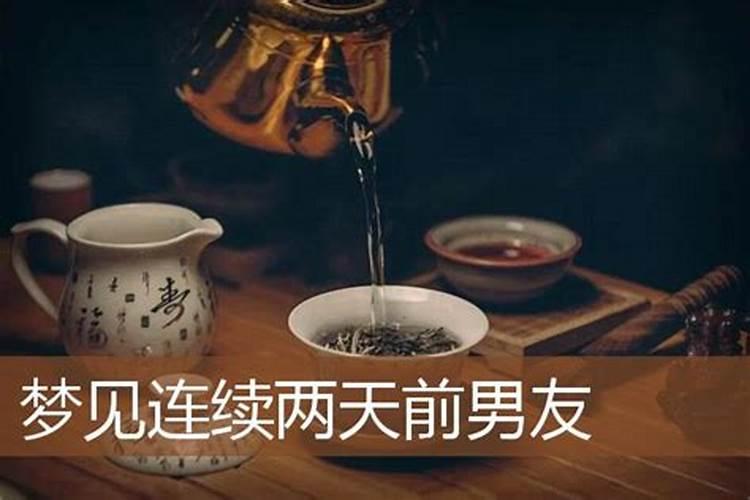 兔年生肖运势详解