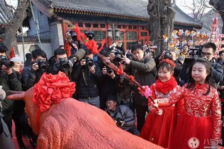 立春有什么习俗活动？