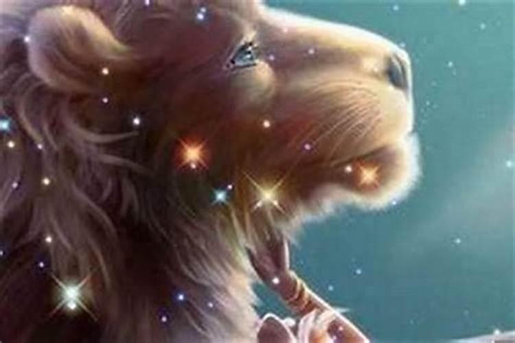 分析狮子座吃醋的表现