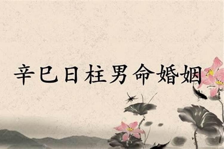 2025生肖狗的运势大全 属狗人2025年每月运势