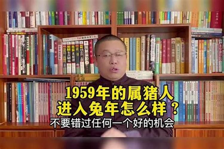 59年属猪的运势,59年属猪的是什么命