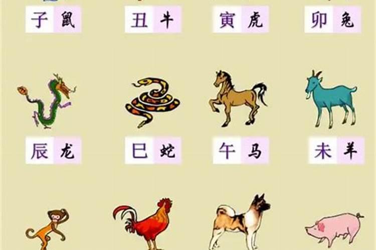 88年属龙人在哪年转运