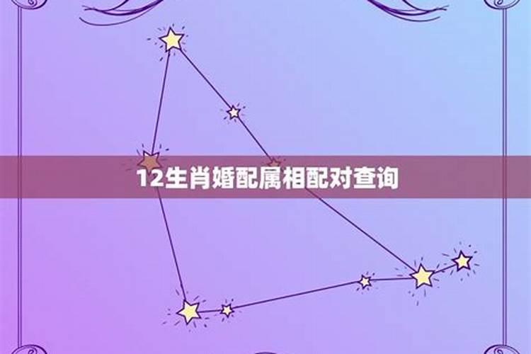 十二属相婚配表,属相配对查询!