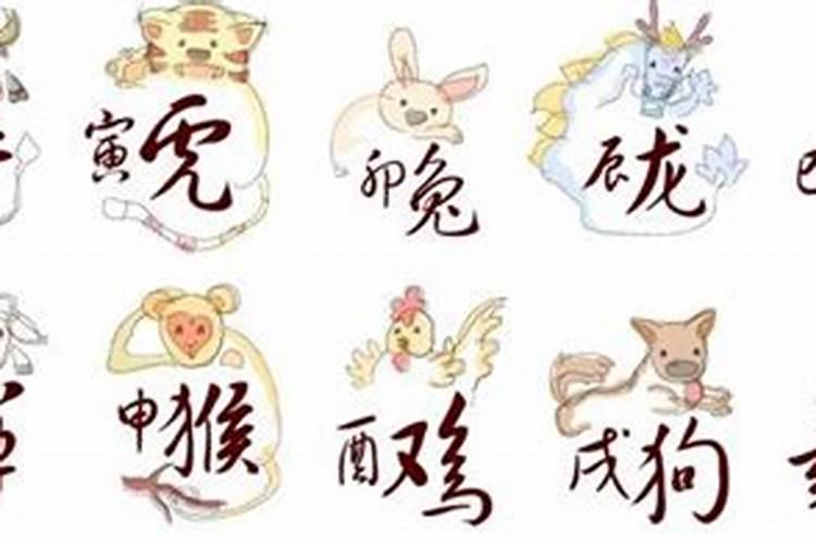 虎女搭配十二生肖的婚姻运势会怎么样？
