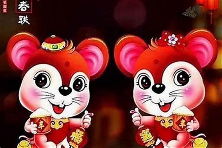 属兔和属鼠的婚配好不好