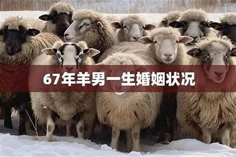 67年羊女人后半生命运如何,后半生需求留意什么？