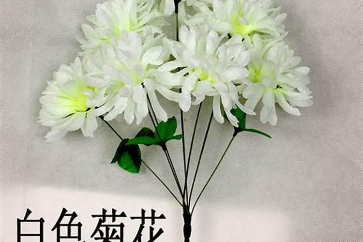 12生肖与年份对照表