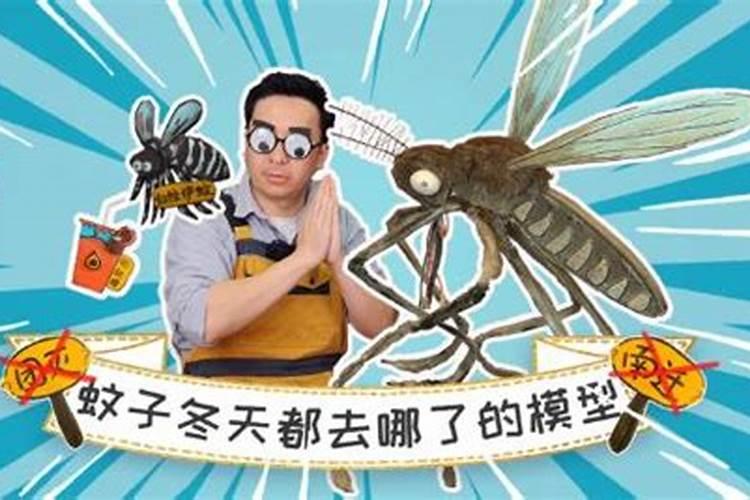 动物们是怎样过冬
