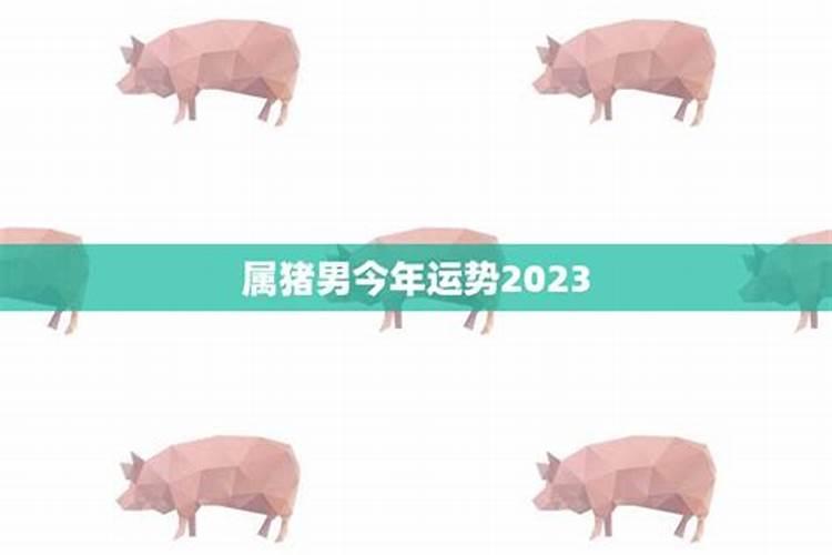 1983年属猪男2025年全年运势