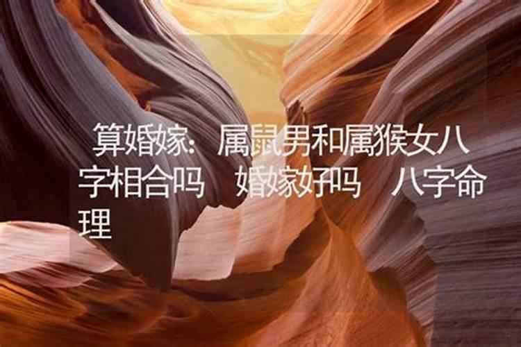 男猴女马八字合吗马遇猴谁是谁的贵人