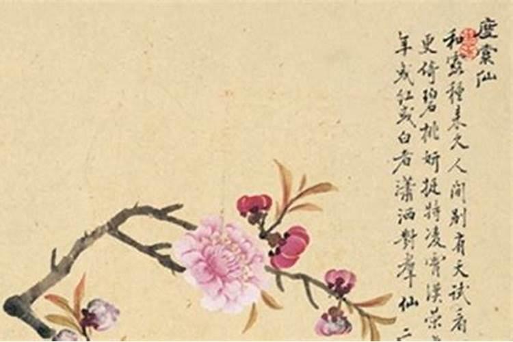 2022年高考家里为什么摆文竹高考家里摆文竹有什么好处