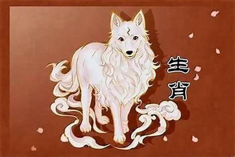 82年属狗最难的几年