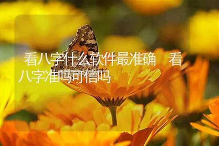 网上算命的是不是用软件的,网上八字算命的可信吗