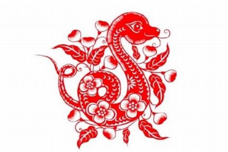 2021年5月19日属相运势与特吉生肖,李计忠2021年十二生肖运程