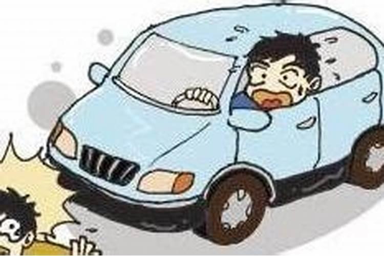 立春属兔交运注意事项