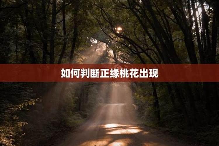 57年属鸡人2024年每月运势