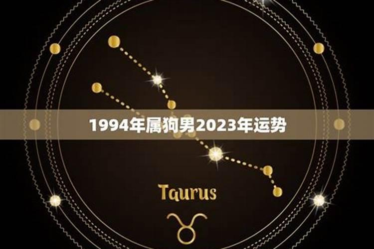 63年的兔2025年的运势怎么样