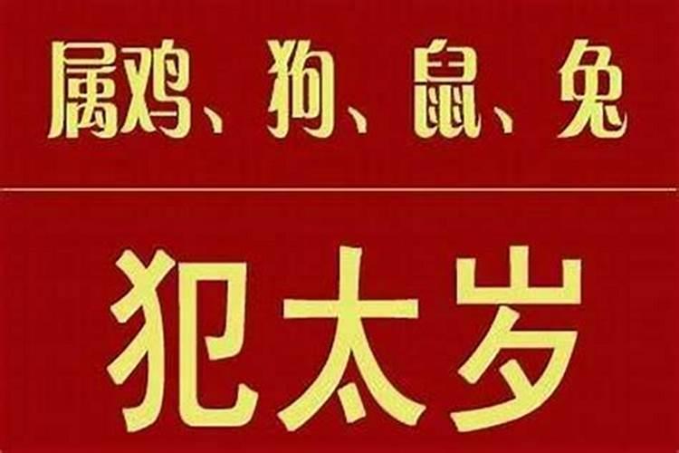 晚上老睡不好。总是梦见死去的人