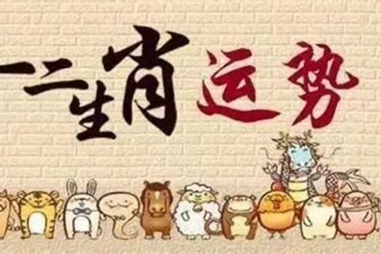 宋韶光2025年生肖运势及每月运程如何