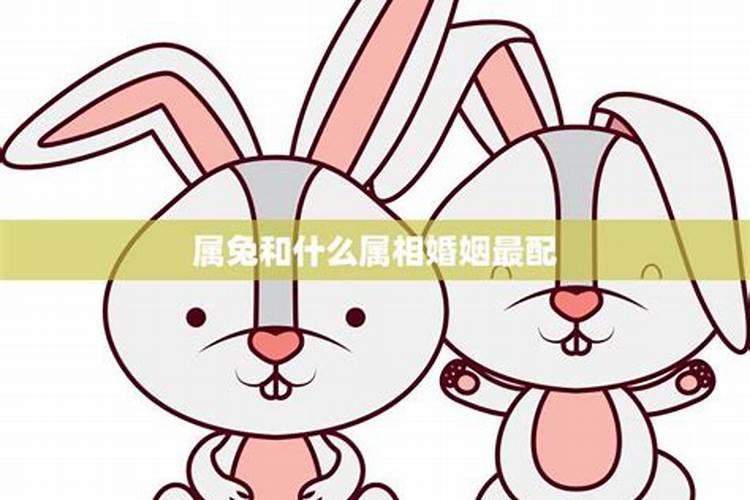 1999年属兔男和什么属相最配最合适 上等婚配是谁