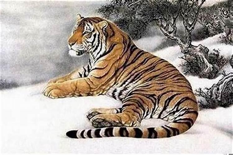 请问老师,八字中的从格是什么意思