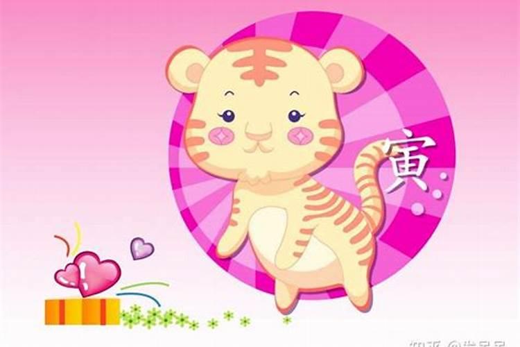 86属虎未来5年运势走向 猪虎六合猪年行大运？