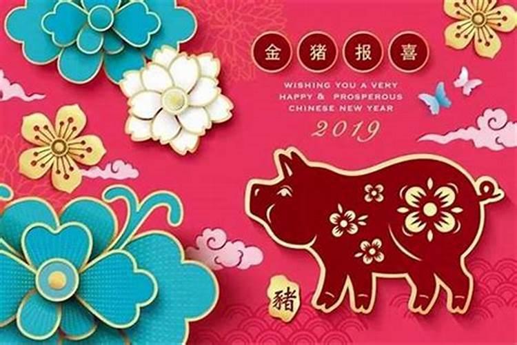 属蛇的猪年运势