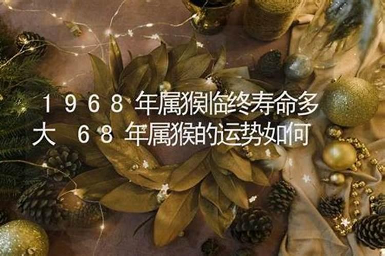 1968年属猴人2024年每月运程