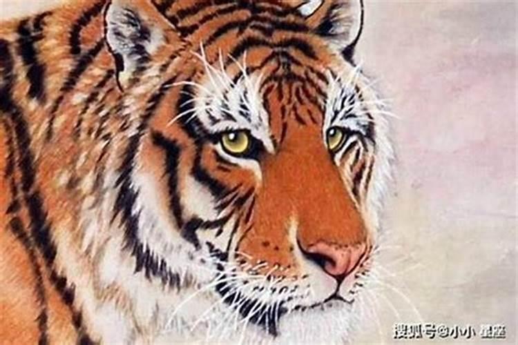 2022年10月25日出生宝宝命运解析 十月初一宝宝八字起名
