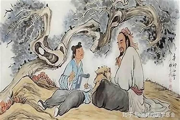 属马的今年运气