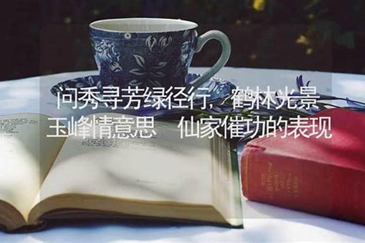 你充值最多的一款游戏是什么？