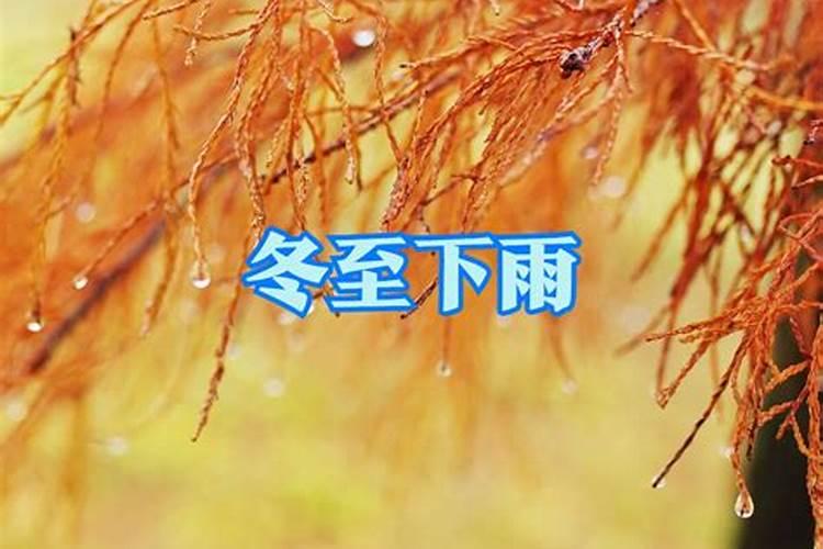春分夏至秋分和冬至的特点 夏至节气的农谚