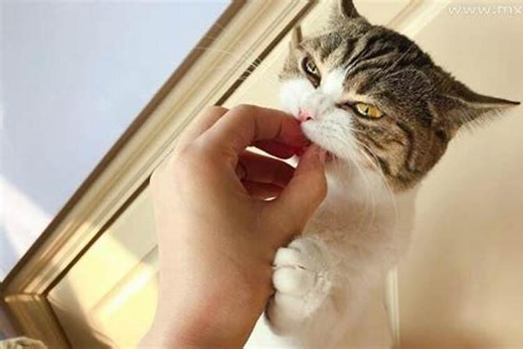 还阴阳债怎么还