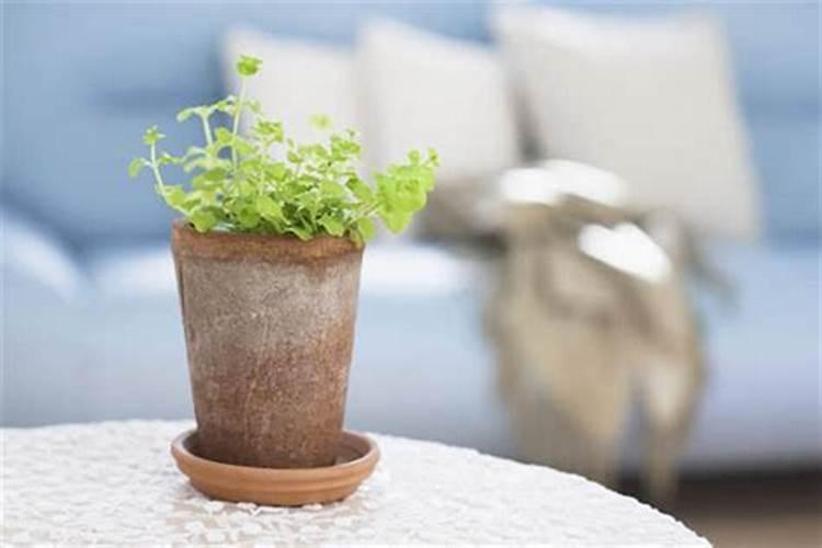 9月25日是什么节