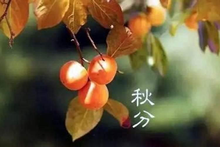 秋分有什么民俗活动
