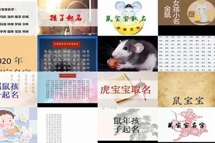 2020年冬至出生的宝宝怎么起名 冬至取名喜宜用字